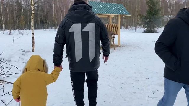 Трогательный зоопарк, оленья ферма в Рузском районе смотреть онлайн