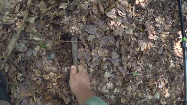 Seven Relics & Simple Rules - Detecting Near U.S. Air Force Base смотреть онлайн
