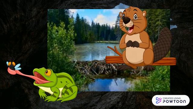 El Castor Y La Rana - Video/cuento