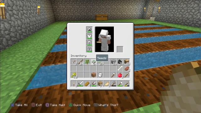 Minecraft: PlayStation 3 Edition (PS3) - Longplay - (1080p, original console) - No Commentary смотреть онлайн