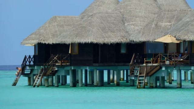 Coco Palm Honeymoon, 2011 смотреть онлайн