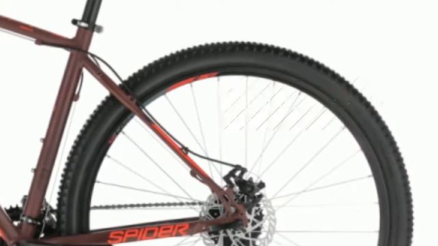 Kellys SPIDER 10 RED 29" 2020: 360 spin bike review смотреть онлайн