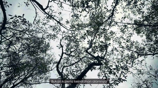 Explore West Java смотреть онлайн