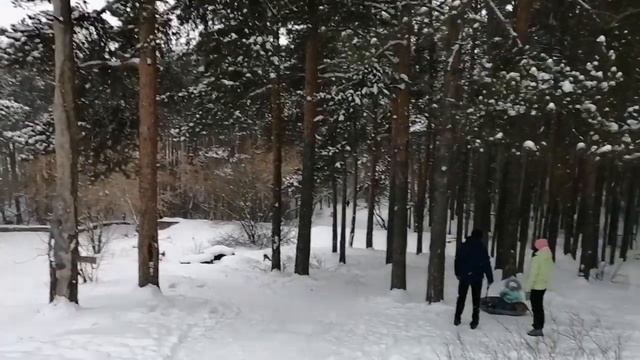 Шарташский лесной парк и каменные палатки смотреть онлайн