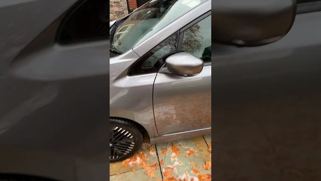 231 Nissan Leaf SV Premium For Sale