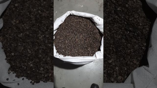 Как хорошо выспаться. Часть 2 .гречневая шелуха (лузга) смотреть онлайн