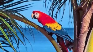 ✨Спокойной ночи, малыши✨ №158/2023 Лучший среди равных