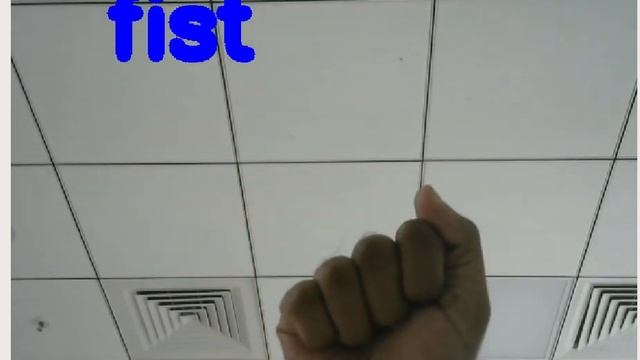 Hand Gesture Recognition using Python (Computer Vision / Deep Learning) смотреть онлайн