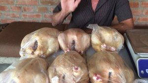 БРОЙЛЕР  РОС 308 за 60 дней / Отличный результат!