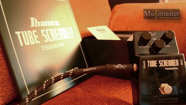 VENDIDO - Ibanez TS808 Hand Wired Tubescreamer смотреть онлайн