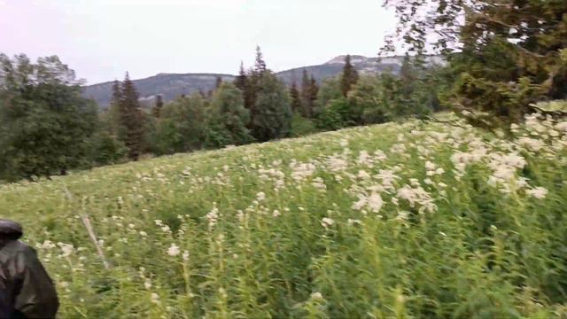 спуск с Машака, хребет Кумардак. Южный Урал смотреть онлайн