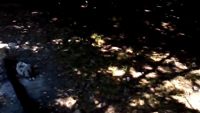 Буковая поляна смотреть онлайн