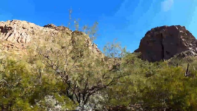 Exploring Organ Pipe Cactus National Monument смотреть онлайн