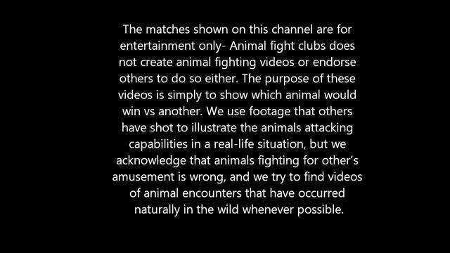 Animal Fight Clubs Disclaimer смотреть онлайн