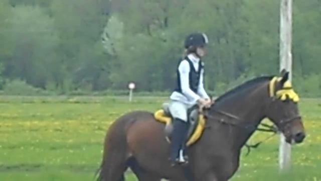 Открытие бегового сезона в Ульяновске смотреть онлайн