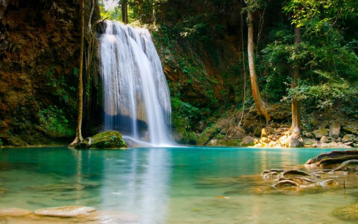 Расслабиться и быстро заснуть .Звуки водопада, леса и приятной мелодии смотреть онлайн