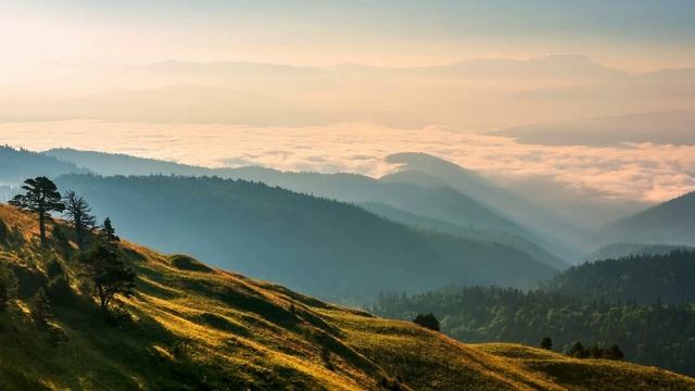 Leonid Kogan - Vieuxtemps - Rondino from 3 Salon Pieces, Op 32 смотреть онлайн