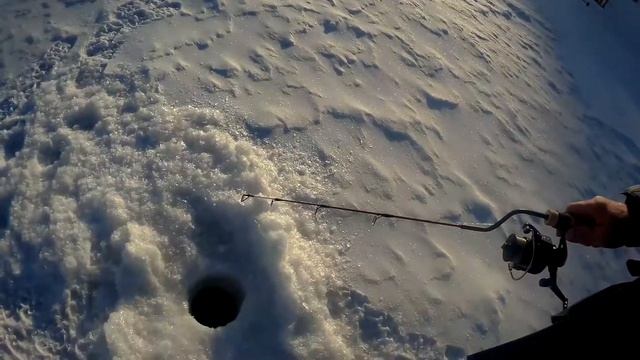 Красногорск. Рыбалка на форель. смотреть онлайн