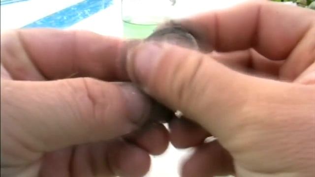 Способ разделения кладовых залипух смотреть онлайн