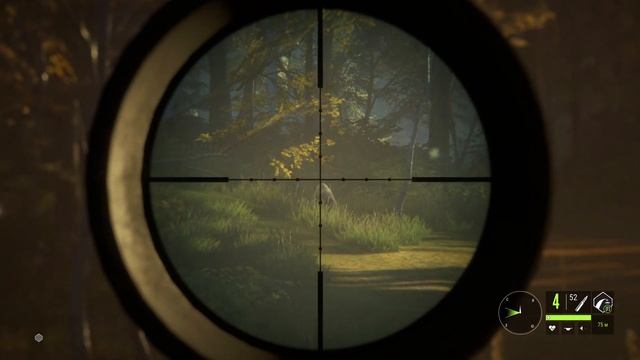 theHunter: Call of the Wild ГАЙД ? ОБЗОР ЗАКАЗНИКА ХИРШФЕЛЬДЕН: животные, зоны обитания.? смотреть онлайн