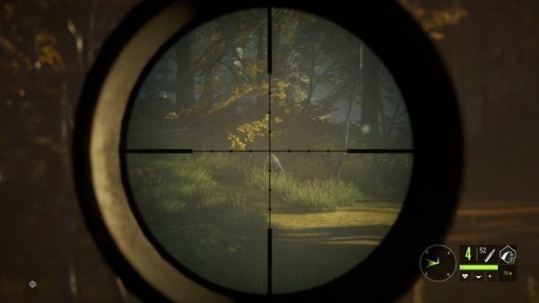 theHunter: Call of the Wild ГАЙД ? ОБЗОР ЗАКАЗНИКА ХИРШФЕЛЬДЕН: животные, зоны обитания.?
