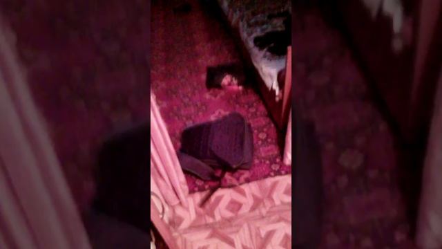 Как я прихожу домой с школы смотреть онлайн