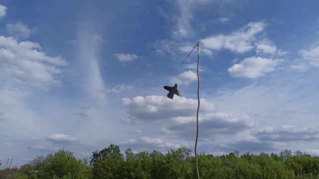 Сапсун ОТПУГИВАТЕЛЬ птиц ЩУРОК .aab. смотреть онлайн