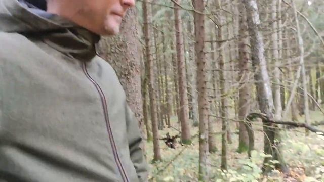 КАК ПРАВИЛЬНО СОБИРАТЬ ГРИБЫ)Жарёха по Артёмовски) смотреть онлайн