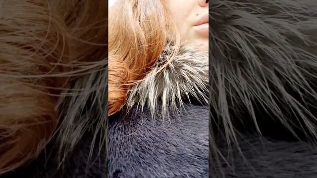 мы в магазин 😁😁 смотреть онлайн