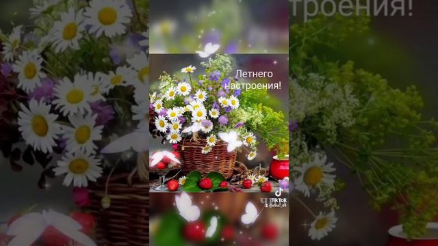 Доброго утра Вам, мои друзья! Счастливого дня! смотреть онлайн