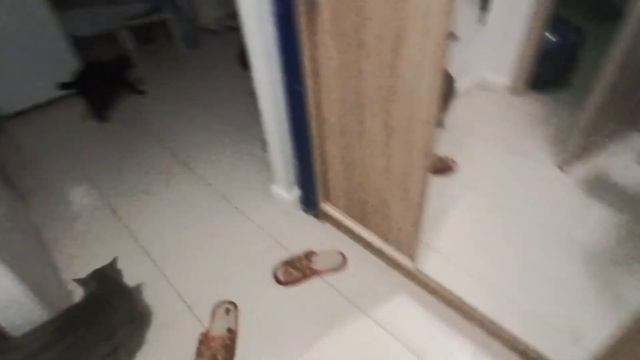 Такой подарок от бывшего мужа... смотреть онлайн