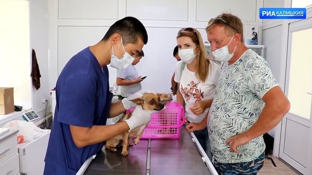 ПРОСТЫЕ ПРОФЕССИИ ВЕТЕРИНАР 09 07 2021 смотреть онлайн