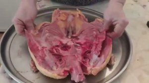 Мускусные утки.Сушим мясо утки на зиму.