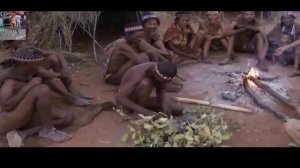 Дикая Африка. Как Пигмеи охотятся на Дикобраза