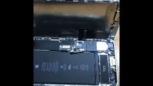 Iphone 7plus ремонт микрофона/ замена шлейфа микрофона и зарядки