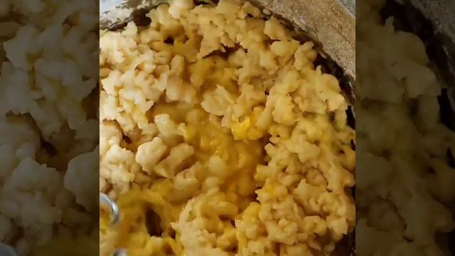 Торт дамские пальчики со сметанным кремом ? смотреть онлайн