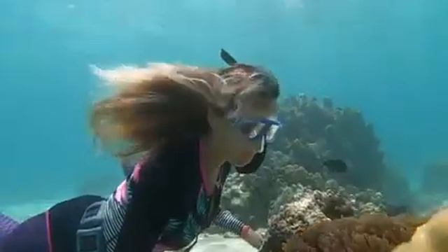 Woman Underwater watching fish Swim смотреть онлайн
