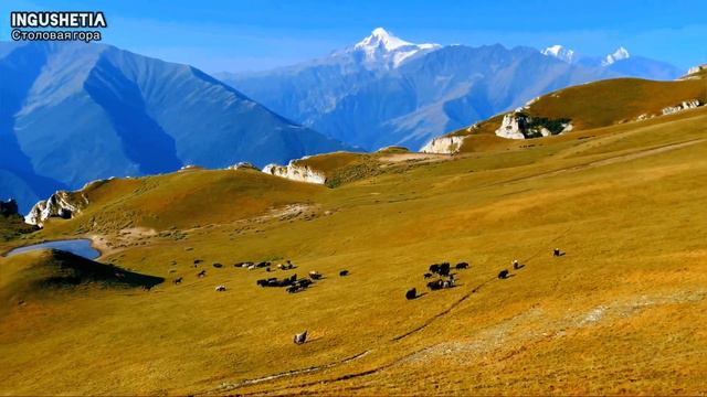 Ingushetia | столовая гора съемка с IPhone 12 Pro смотреть онлайн