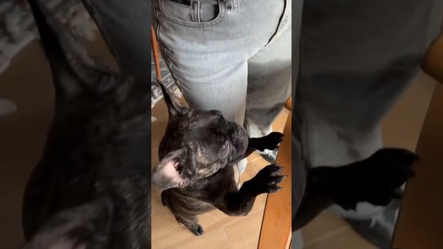 ТОМАТНЫЙ СУПЧИК С ЧЕЧЕВИЦЕЙ