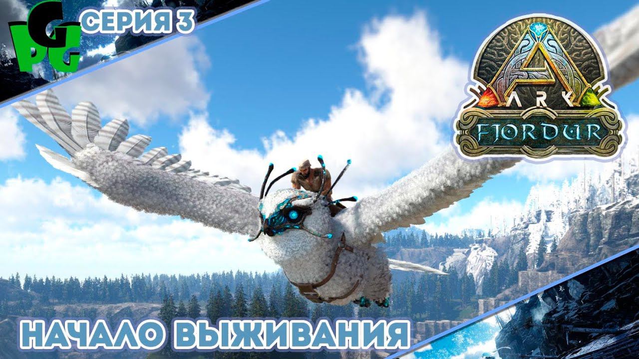 Самый сложный выбор 