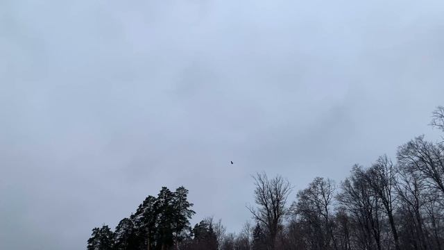 РЫБАЛКА В ГЛУХОЗИМЬЕ со спиннингом на малой речке. смотреть онлайн