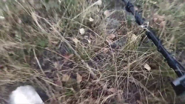 #44 Последний коп с Garrett Ace 400i... смотреть онлайн