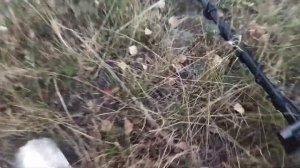 #44 Последний коп с Garrett Ace 400i...