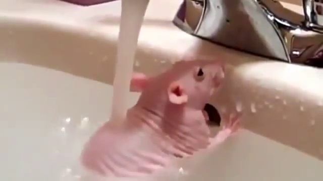 Ты с Утра смотреть онлайн