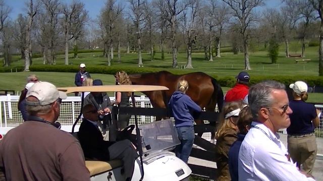 Foxwood High & Bellany Rock Rolex Jogs смотреть онлайн