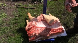Выход мяса со свиньи-73%. Свиноводство. Свиньи.