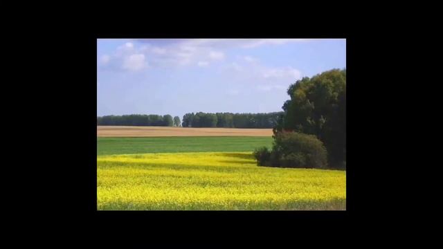 || Меме~Давай сделаем фото?~ Аниме: Великий из бродячих псов~ 2022 || смотреть онлайн