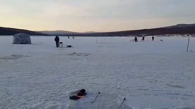 Новости. Вот такие пока дела  на самоне. Де-кастри. 20.12.2021г.