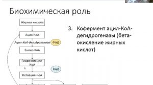 Лекция 3. Витамин В2
