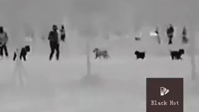 Тепловизор Hikvision DS-2TS03-35UFW 100м режимы просмотра на разных кратностях увеличения смотреть онлайн